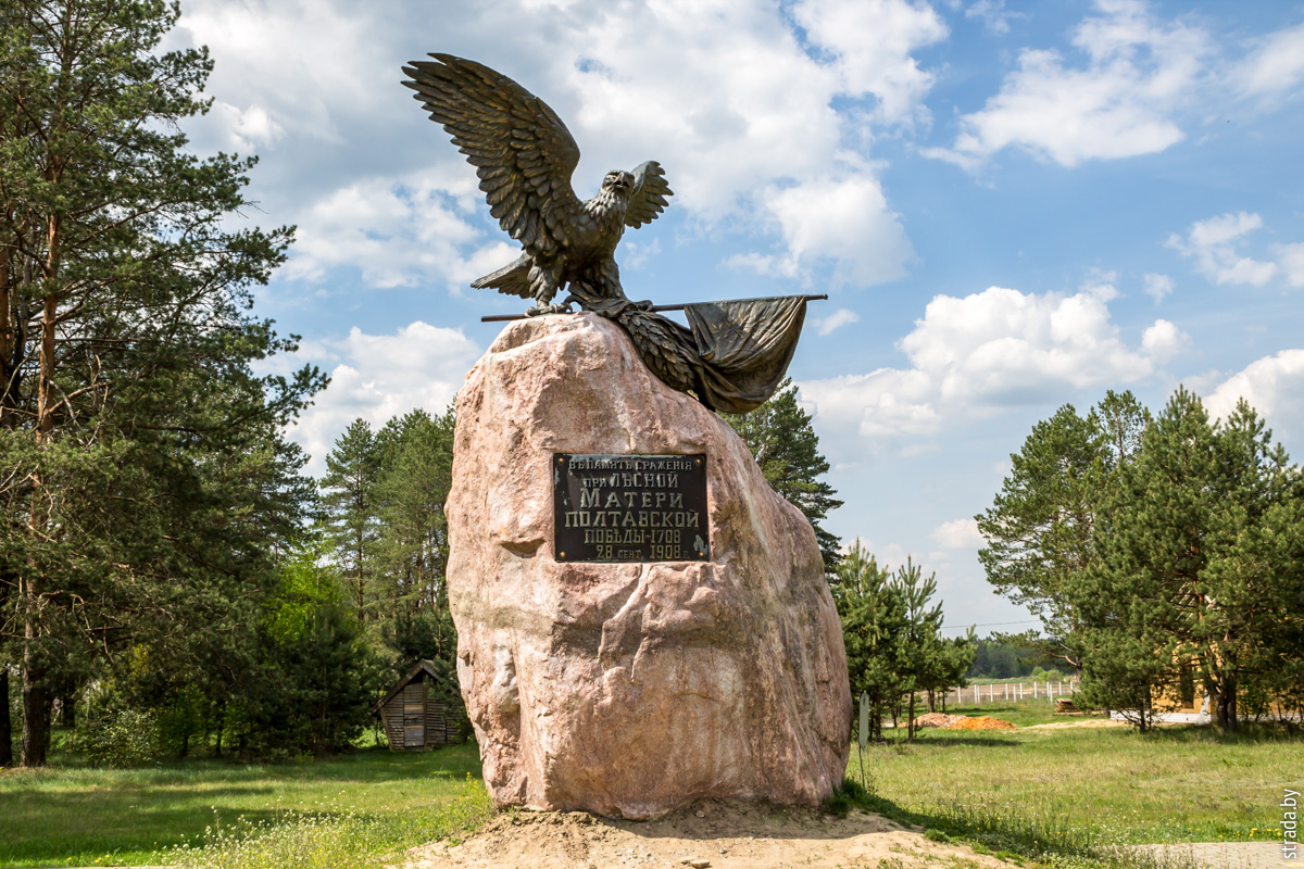 Памятник в честь победы русских войск, Лесная, Славгородский район, Могилёвская область