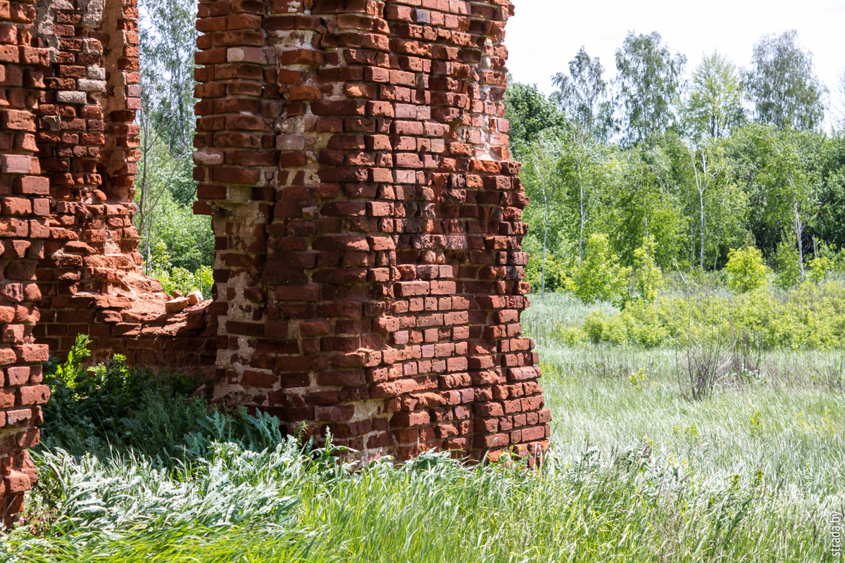 Руины церкви, Красная Слобода, Жлобинский район, Гомельская область