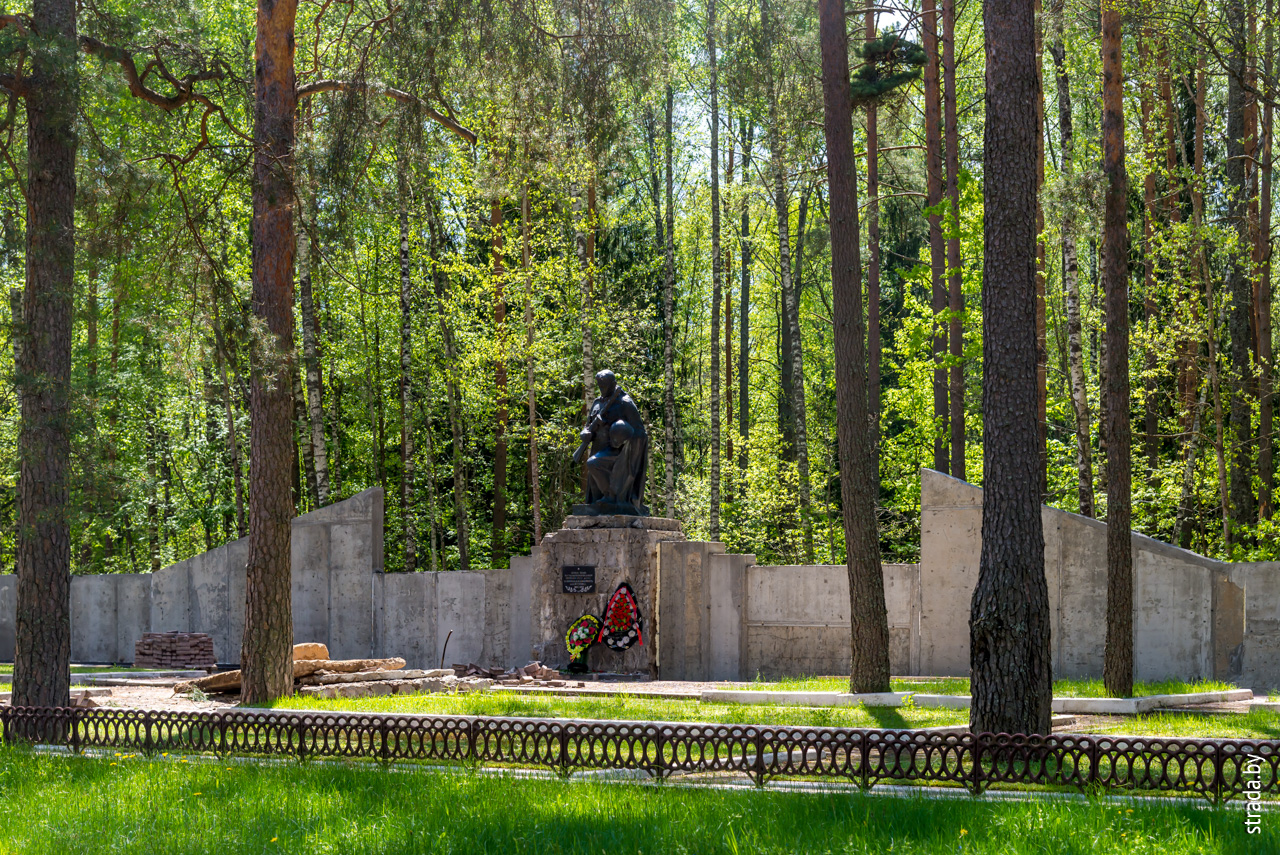 партизанское кладбище, Усакино, Кличевский район, Могилёвская область