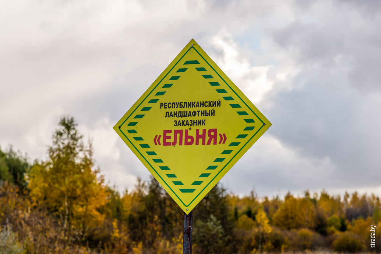 Болото Ельня, экологическая тропа, Миорский район, Витебская область